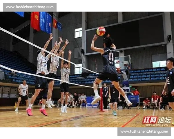 青春力量在赛场绽放全国排球比赛点燃团队荣耀梦想与拼搏精神同行 - 副本 (3)