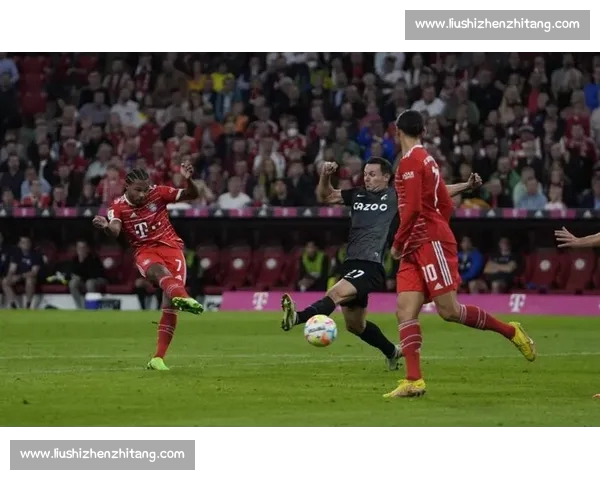 德甲精彩赛事现场直播全程回顾与赛果分析解说